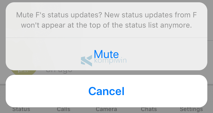 Cara Mute/Matikan Status/Story WhatsApp Orang Lain di iPhone 6