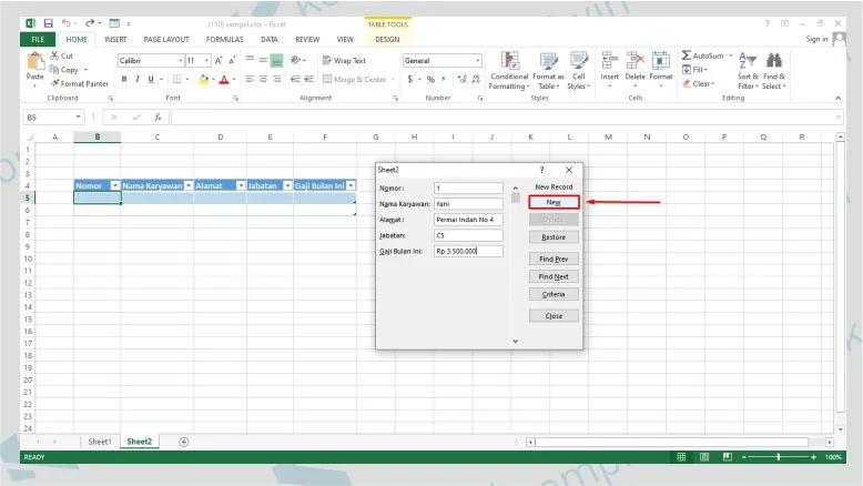 Tambahkan Data Baru untuk Database Excel