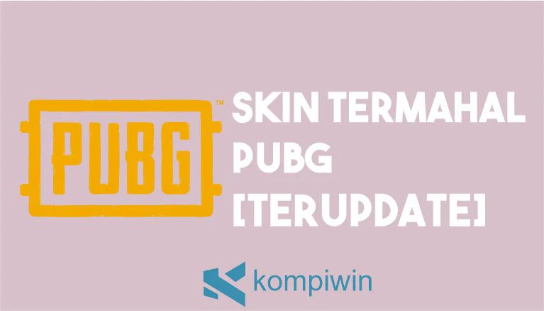 Skin Termahal PUBG