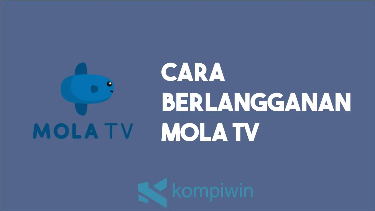 Cara Berlangganan Mola TV 16