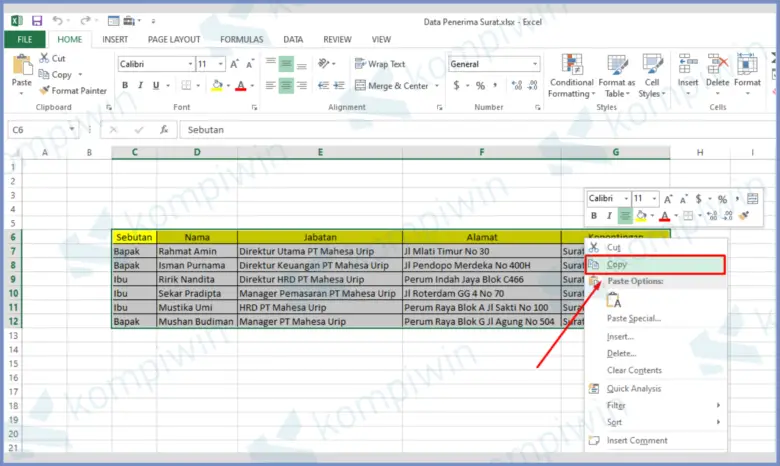 Copying data from Excel to Word