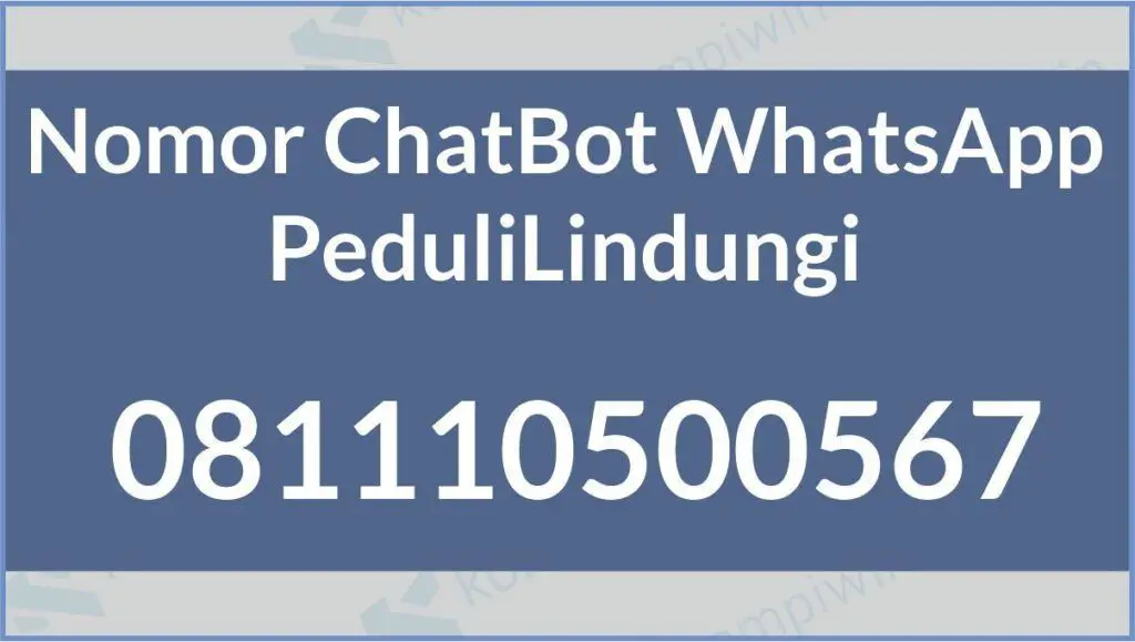 Fitur Baru Nomor ChatBot WhatsApp PeduliLindungi