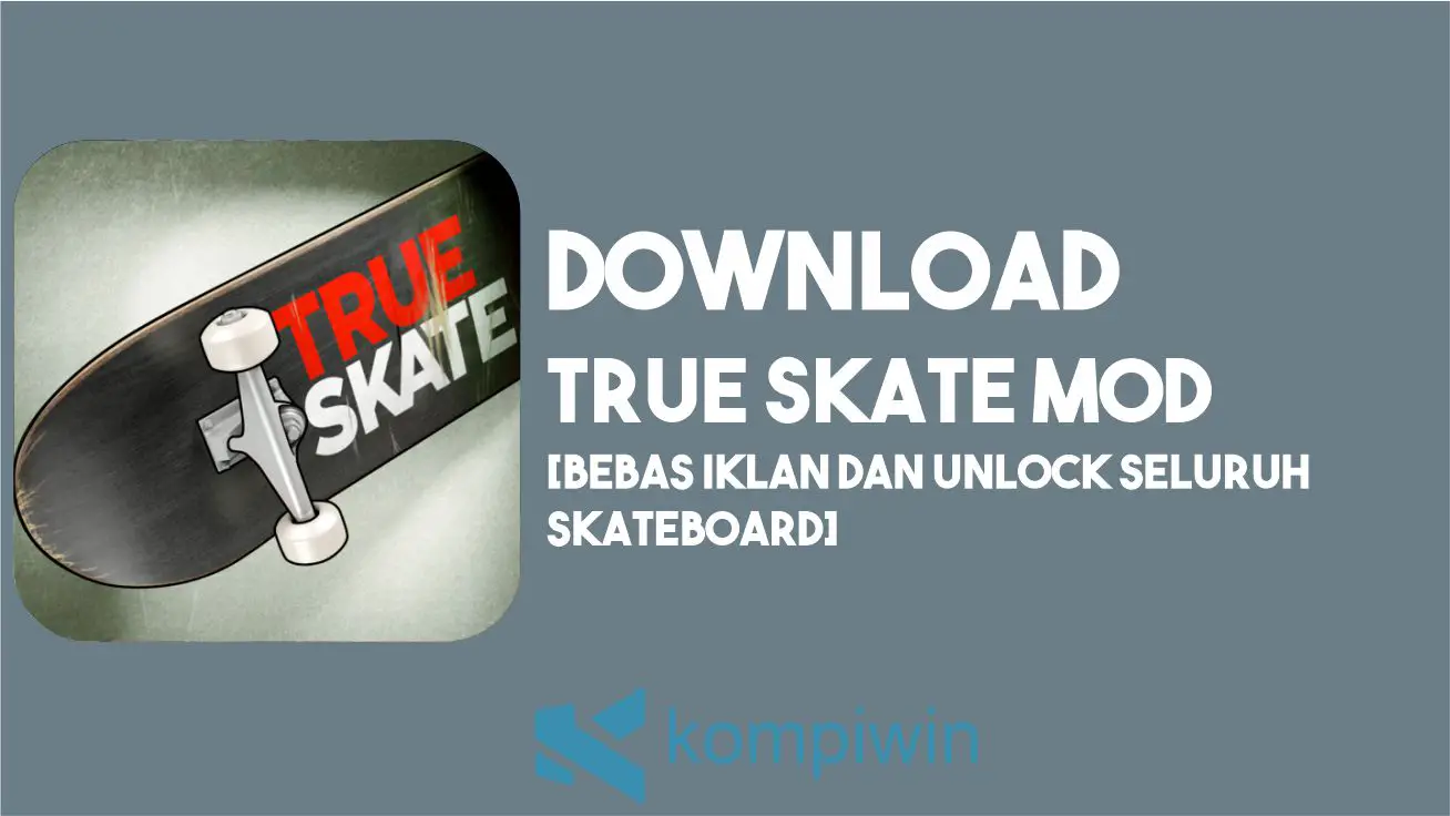 Download True Skate MOD APK