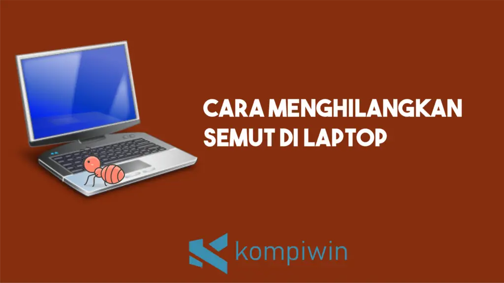 Cara Menghilangkan Semut Di Laptop