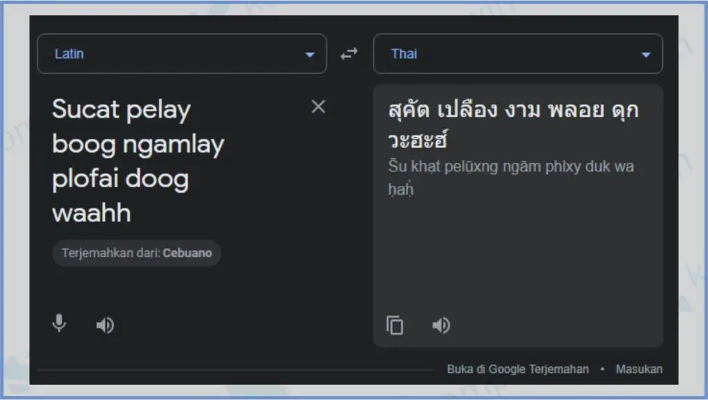 Arti Sucat Pelay Boog, Lagu Thailand yang Viral 1