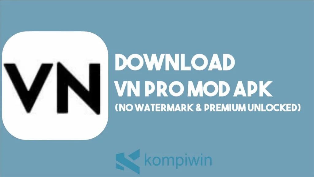 Download VN Pro MOD APK