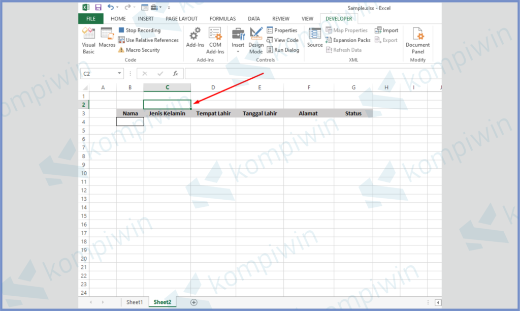 10 Tap Diatas Jenis Kelamin - Cara Membuat Form Input Data di Excel