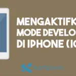 Cara Mengaktifkan Mode Developer di iPhone dan iPadpng