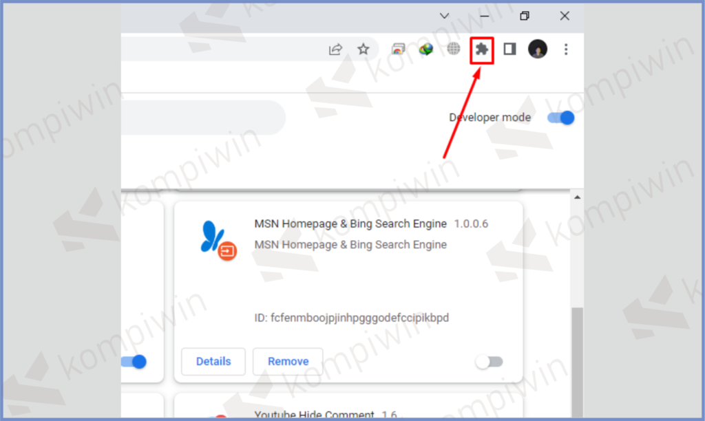 9 Klik Extensions - Cara Menggunakan Line Web di Google Chrome