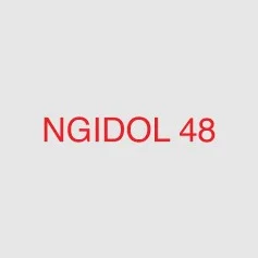 Ngidol48